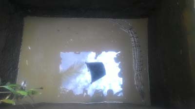 Warga Kempas Jaya Inhil Tangkap Seekor Buaya Berukuran 2 Meter